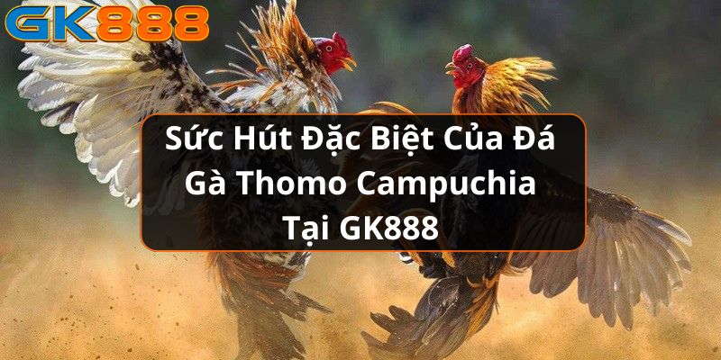 http://pontedeservicos.net/wp-content/uploads/2024/11/da-ga-thomo-suc-hut.jpg